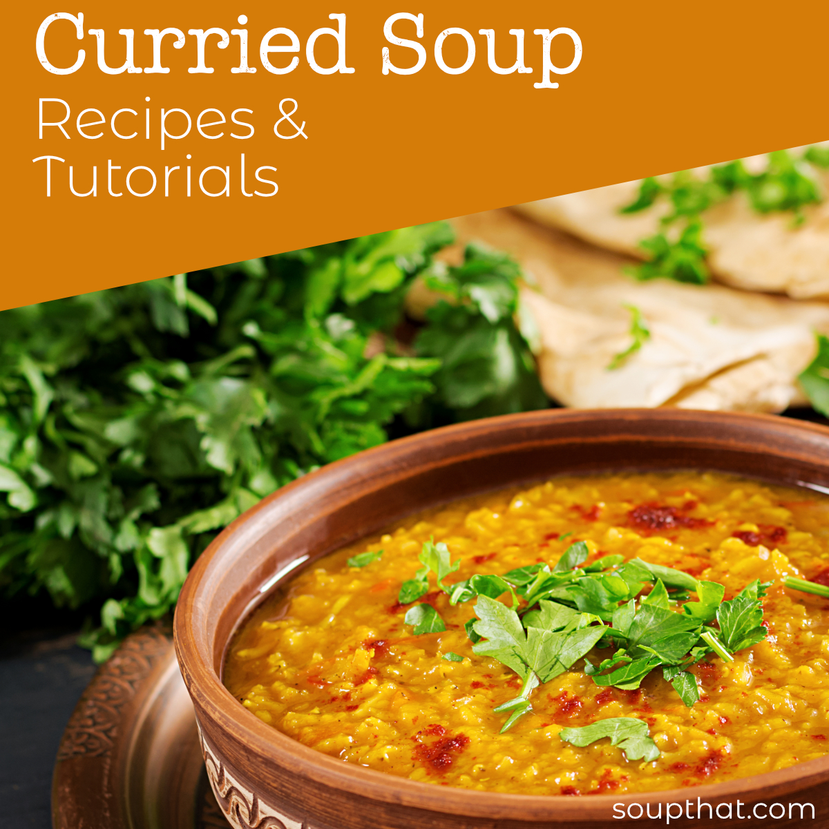 curry-soup-recipes-soup-that