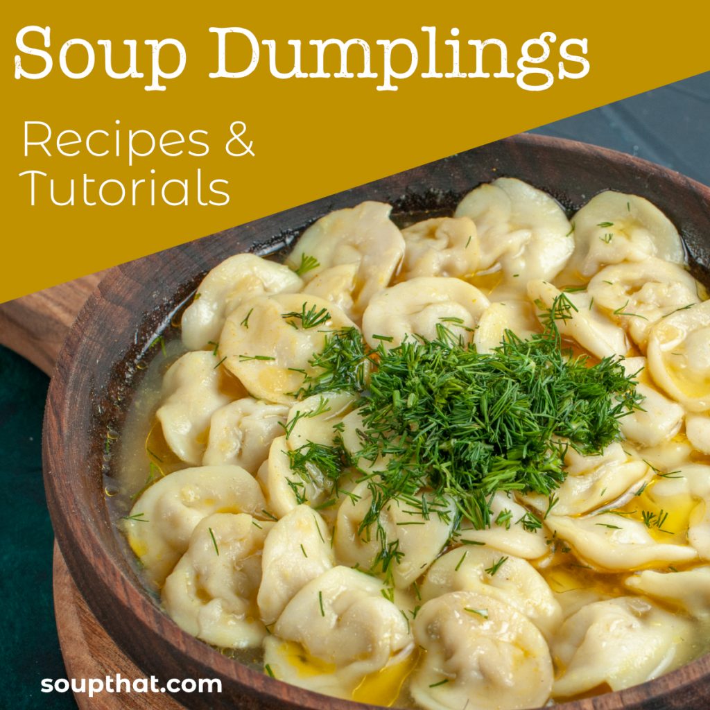 How to Make Soup Dumplings Soup Dumplings Recipes Soup That